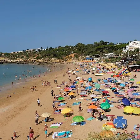 Lotus 2, * アルブフェイラ